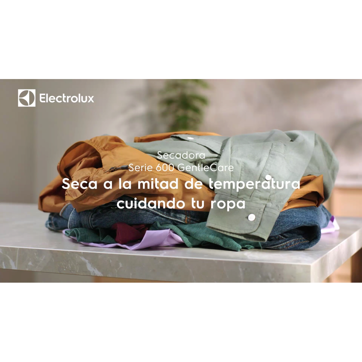 Electrolux - Secadora con Bomba de Calor - EDI618Y1ZO