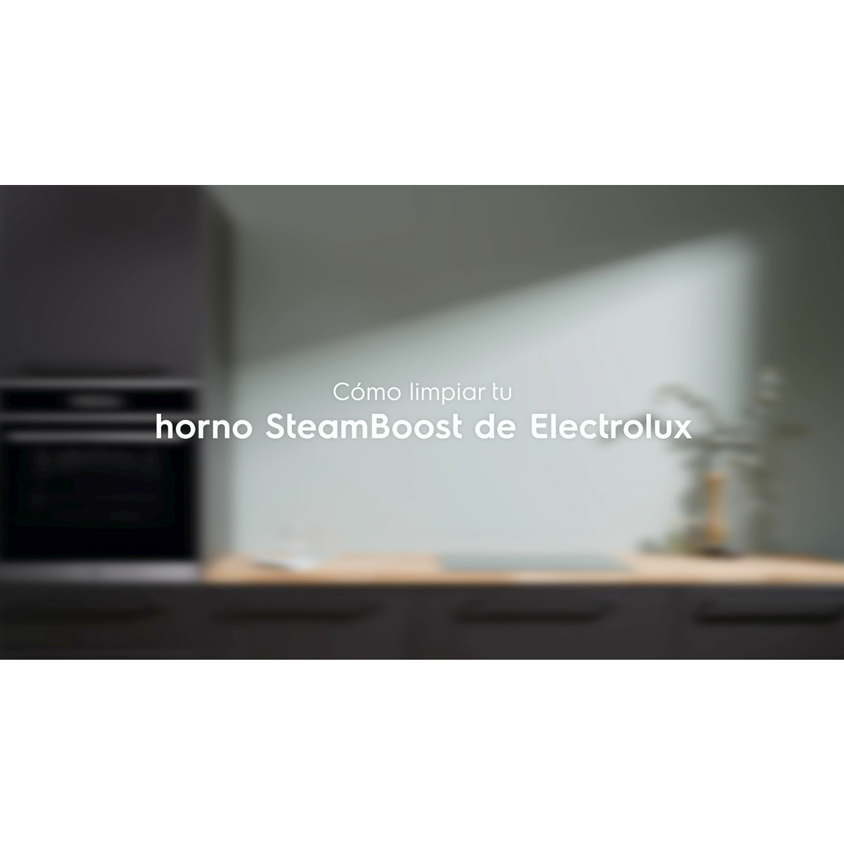 Electrolux - Hornos de vapor - EOB8S39X