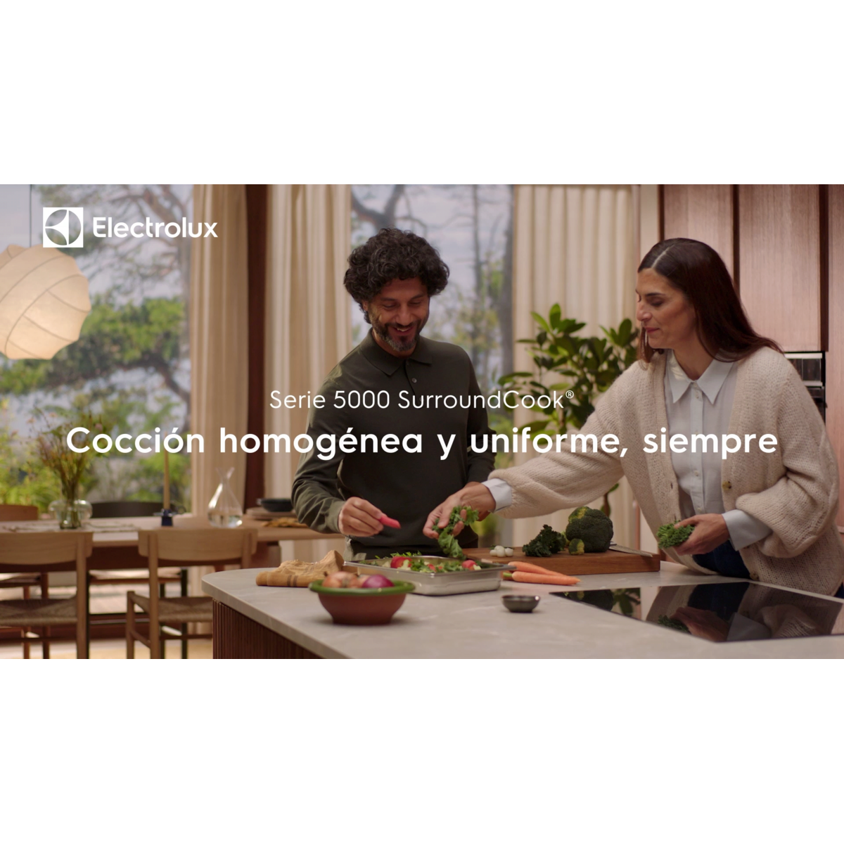 Electrolux - Hornos de vapor - COP846X1