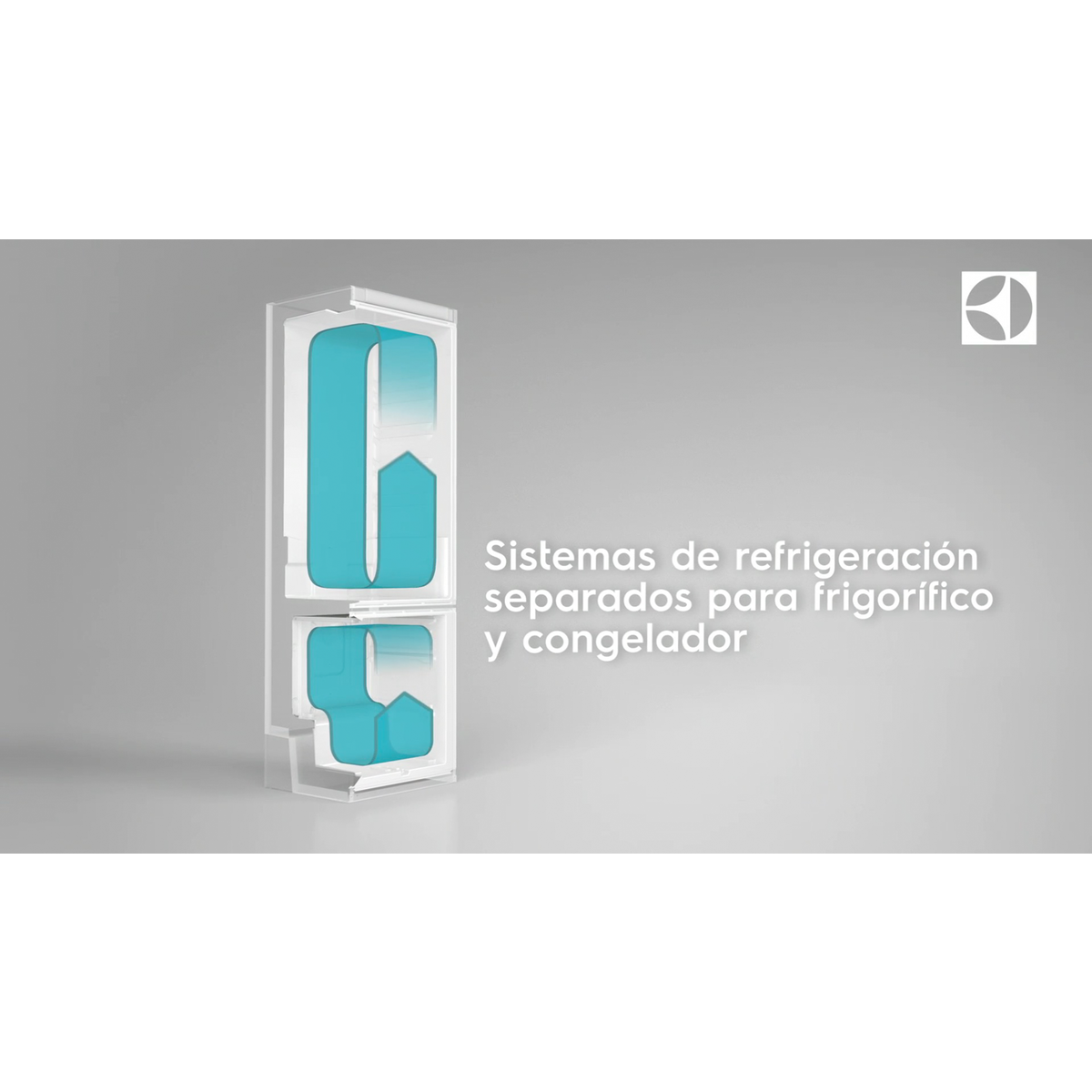 Electrolux - Frigorífico combi - LNB6MD34U0