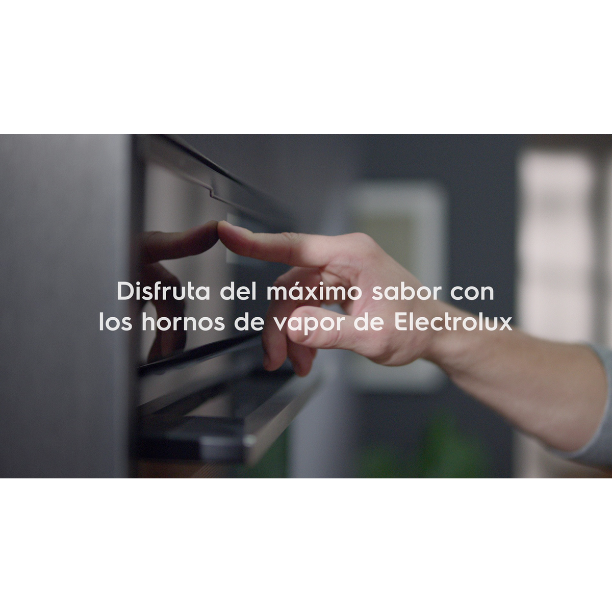 Electrolux - Hornos pirolíticos - EOC6P77WX