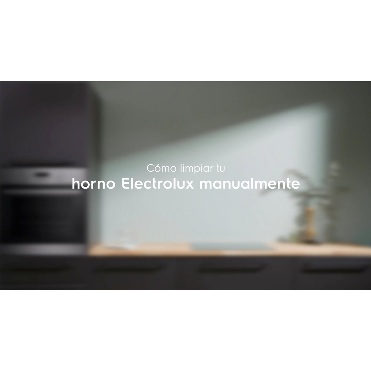 Electrolux - Horno microondas - EVF6E46Z