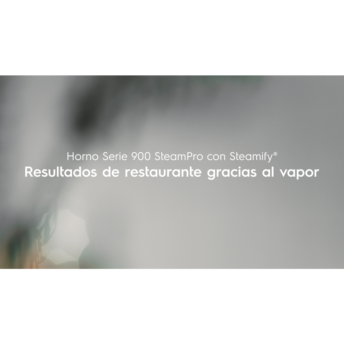 Electrolux - Horno multifunción - EOA9S31CX
