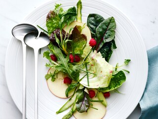 Ensalada emplatada sacada del frigorífico combi Electrolux TwinTech