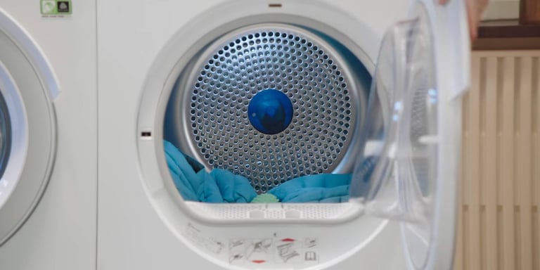 Primer plano de una bola de secado en una secadora Electrolux