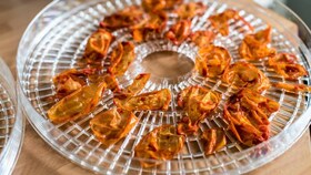 Chips de piel de tomate
